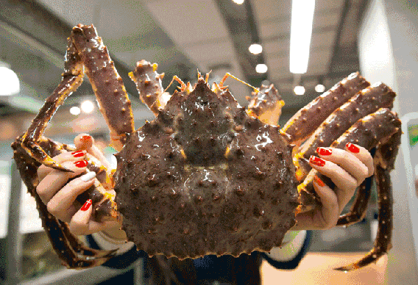 【時代儒商】膠東碼頭海鮮城淮揚菜、魯菜、海鮮超多美味！滿足您的味蕾~~