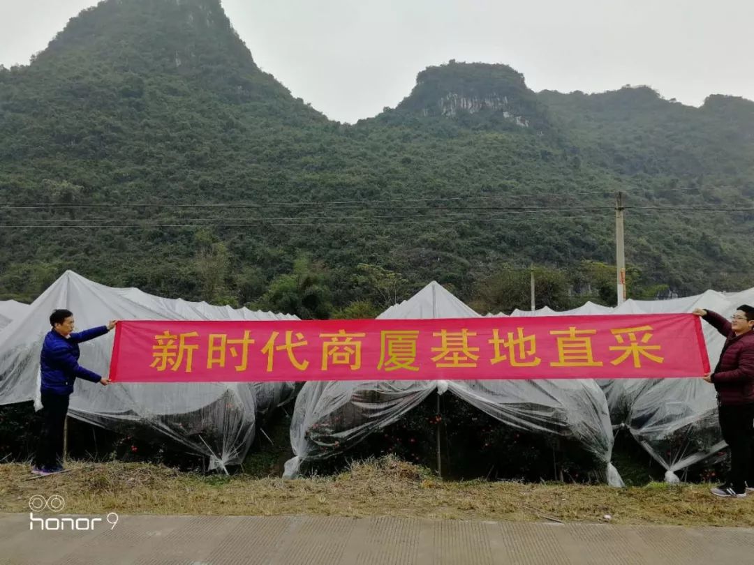 新時(shí)代商廈｜誠(chéng)信315 信用讓消費(fèi)更放心！