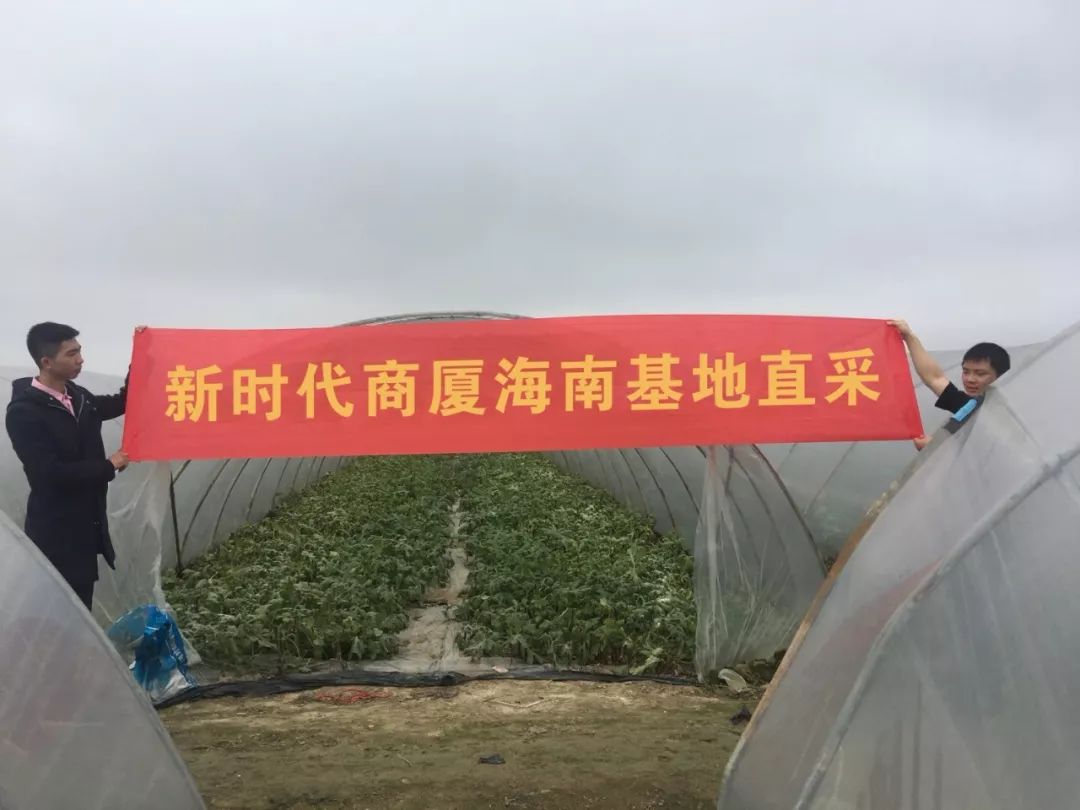 新時(shí)代商廈｜誠(chéng)信315 信用讓消費(fèi)更放心！